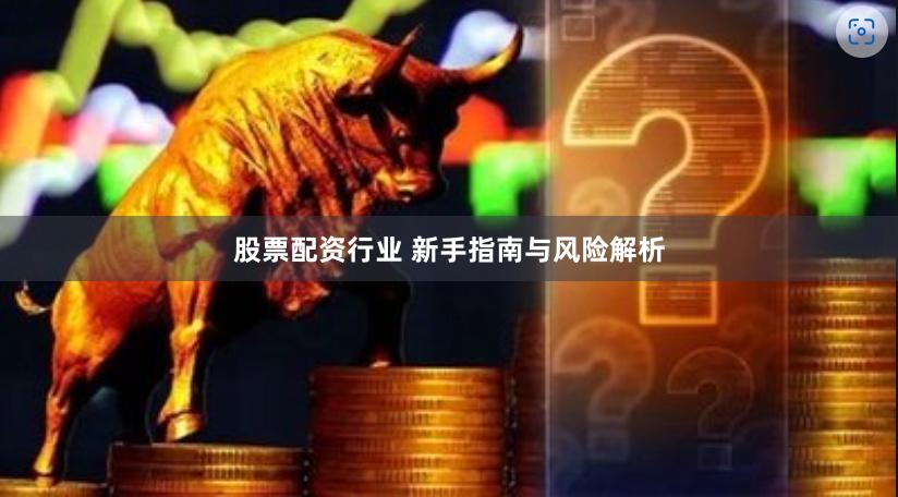 股票配资行业 新手指南与风险解析